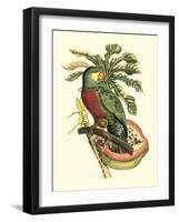 Tropical Birds and Botanicals II-null-Framed Art Print