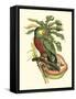 Tropical Birds and Botanicals II-null-Framed Stretched Canvas