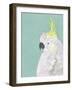 Tropical Birds - Cockatoo-null-Framed Giclee Print