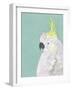 Tropical Birds - Cockatoo-null-Framed Giclee Print