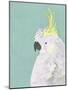 Tropical Birds - Cockatoo-null-Mounted Giclee Print