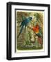 Tropical Birds III-Cassel-Framed Art Print