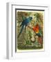 Tropical Birds III-Cassel-Framed Art Print