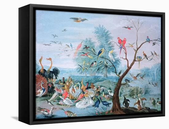 Tropical Birds in a Landscape-Jan van Kessel-Framed Stretched Canvas