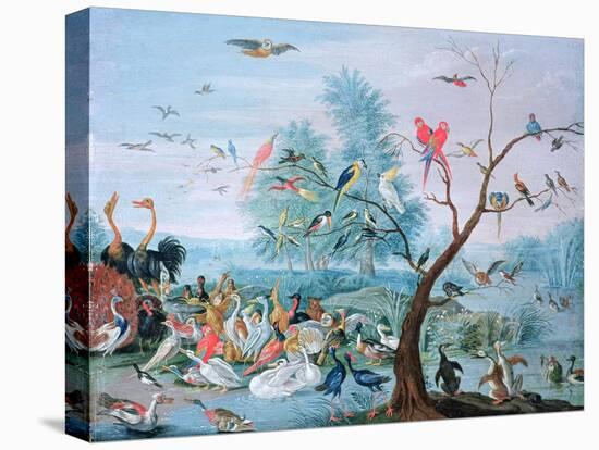 Tropical Birds in a Landscape-Jan van Kessel-Stretched Canvas