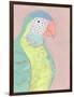 Tropical Birds - Parrot-null-Framed Giclee Print