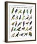 Tropical Birds-null-Framed Art Print