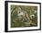 Tropical Birds-English School-Framed Giclee Print