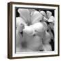 Tropical Bloom I-Tony Koukos-Framed Giclee Print