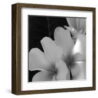 Tropical Bloom III-Tony Koukos-Framed Giclee Print