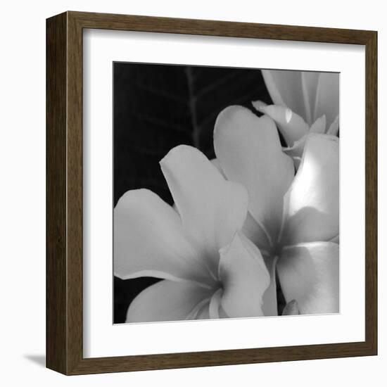 Tropical Bloom III-Tony Koukos-Framed Giclee Print