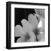 Tropical Bloom III-Tony Koukos-Framed Giclee Print