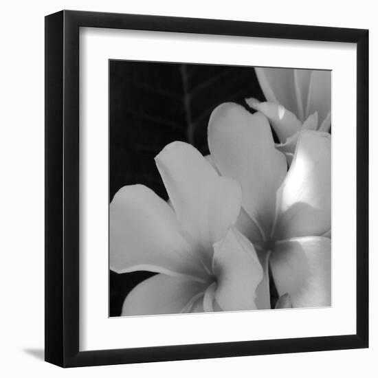 Tropical Bloom III-Tony Koukos-Framed Giclee Print