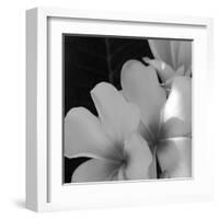 Tropical Bloom III-Tony Koukos-Framed Giclee Print