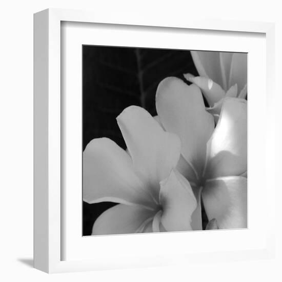 Tropical Bloom III-Tony Koukos-Framed Giclee Print