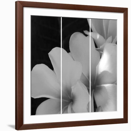 Tropical Bloom Iii-Tony Koukos-Framed Giclee Print