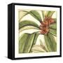 Tropical Blooms and Foliage I-Jennifer Goldberger-Framed Stretched Canvas