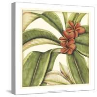 Tropical Blooms and Foliage I-Jennifer Goldberger-Stretched Canvas