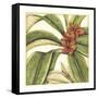 Tropical Blooms and Foliage I-Jennifer Goldberger-Framed Stretched Canvas