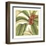 Tropical Blooms and Foliage I-Jennifer Goldberger-Framed Art Print