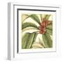 Tropical Blooms and Foliage I-Jennifer Goldberger-Framed Art Print