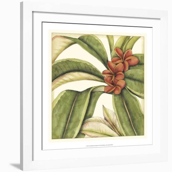 Tropical Blooms and Foliage I-Jennifer Goldberger-Framed Art Print