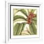 Tropical Blooms and Foliage I-Jennifer Goldberger-Framed Art Print