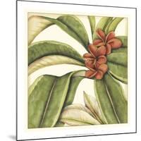 Tropical Blooms and Foliage I-Jennifer Goldberger-Mounted Art Print