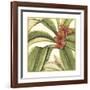 Tropical Blooms and Foliage I-Jennifer Goldberger-Framed Art Print