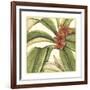 Tropical Blooms and Foliage I-Jennifer Goldberger-Framed Art Print