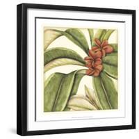 Tropical Blooms and Foliage I-Jennifer Goldberger-Framed Art Print