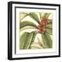 Tropical Blooms and Foliage I-Jennifer Goldberger-Framed Art Print