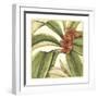 Tropical Blooms and Foliage I-Jennifer Goldberger-Framed Art Print