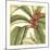 Tropical Blooms and Foliage I-Jennifer Goldberger-Mounted Art Print