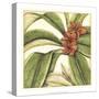 Tropical Blooms and Foliage I-Jennifer Goldberger-Stretched Canvas