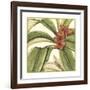 Tropical Blooms and Foliage I-Jennifer Goldberger-Framed Giclee Print