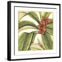 Tropical Blooms and Foliage I-Jennifer Goldberger-Framed Giclee Print