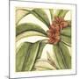 Tropical Blooms and Foliage I-Jennifer Goldberger-Mounted Giclee Print