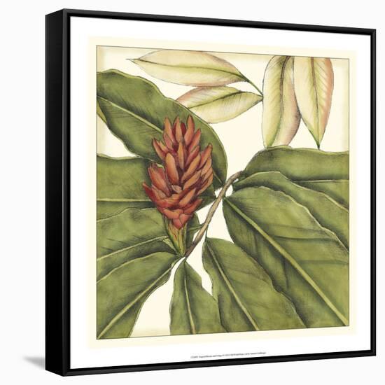 Tropical Blooms and Foliage II-Jennifer Goldberger-Framed Stretched Canvas