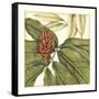 Tropical Blooms and Foliage II-Jennifer Goldberger-Framed Stretched Canvas