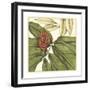 Tropical Blooms and Foliage II-Jennifer Goldberger-Framed Premium Giclee Print