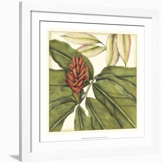 Tropical Blooms and Foliage II-Jennifer Goldberger-Framed Art Print