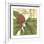 Tropical Blooms and Foliage II-Jennifer Goldberger-Framed Art Print