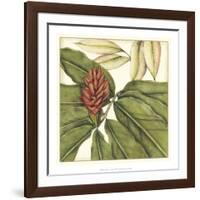 Tropical Blooms and Foliage II-Jennifer Goldberger-Framed Art Print