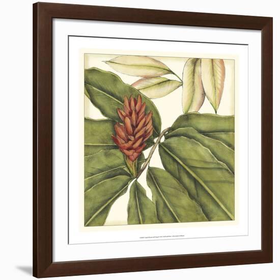 Tropical Blooms and Foliage II-Jennifer Goldberger-Framed Art Print