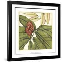 Tropical Blooms and Foliage II-Jennifer Goldberger-Framed Art Print