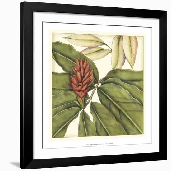 Tropical Blooms and Foliage II-Jennifer Goldberger-Framed Art Print