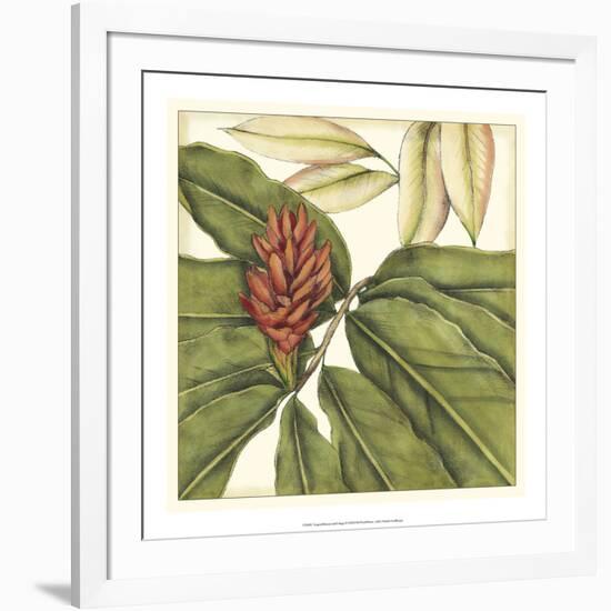 Tropical Blooms and Foliage II-Jennifer Goldberger-Framed Art Print