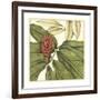 Tropical Blooms and Foliage II-Jennifer Goldberger-Framed Art Print