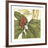 Tropical Blooms and Foliage II-Jennifer Goldberger-Framed Art Print